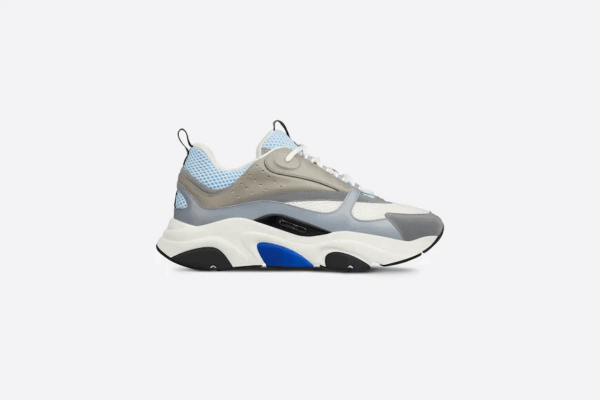 Dior B22